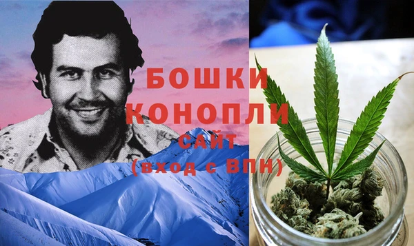 ПСИЛОЦИБИНОВЫЕ ГРИБЫ Богородск